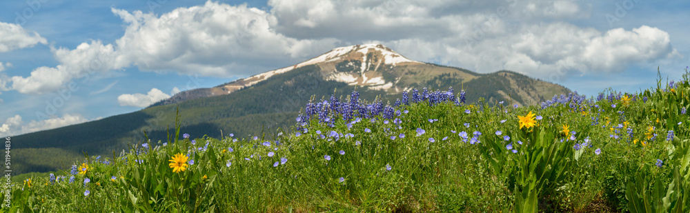 Mount Emmons and Wildflower Panorama