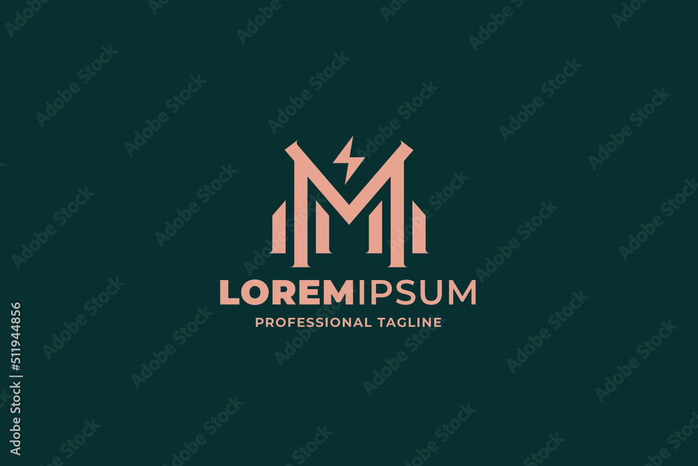 Fototapeta premium investment logo template