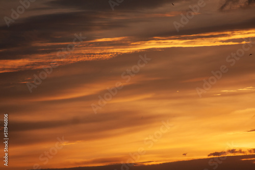 Sandy abstract real sunset. Background and wallpaper of vibrant sky with little birds.