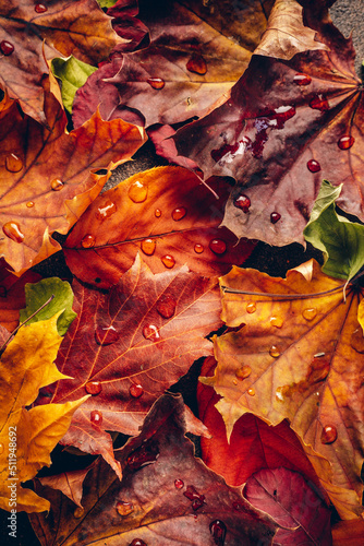 Natural bright Autumn leaves background. Top view