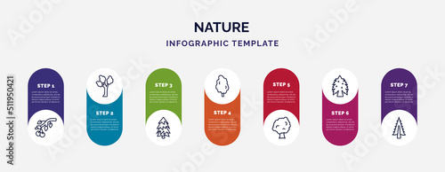 infographic template with icons and 7 options or steps. infographic for nature concept. included black cherry tree, eastern cottonwood tree, red pine tree, tulip sycamore eastern hemlock american