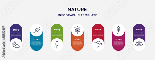 infographic template with icons and 7 options or steps. infographic for nature concept. included sunny protic, orange leaf, magnolia leaf, chestnut leaf, fertilize clinic, lemon palmatelly icons.