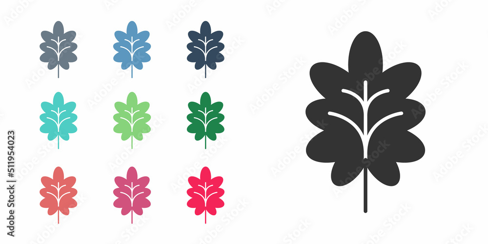 Black Leaf icon isolated on white background. Leaves sign. Fresh natural product symbol. Set icons colorful. Vector Black Leaf icon isolated on white background. Leaves sign. Fresh natural product symbol. Set icons colorful. Vector