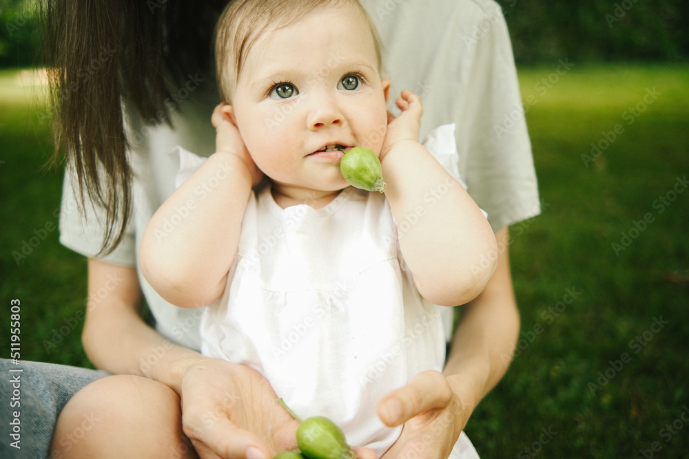 baby in the garden holding fruit in mouse baby in the garden holding fruit in mouse
