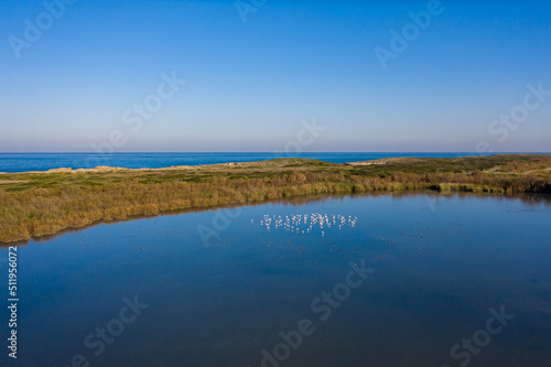 drone view of flamingo flock in the fish ponds of Kibbutz Nachsolim, Israel