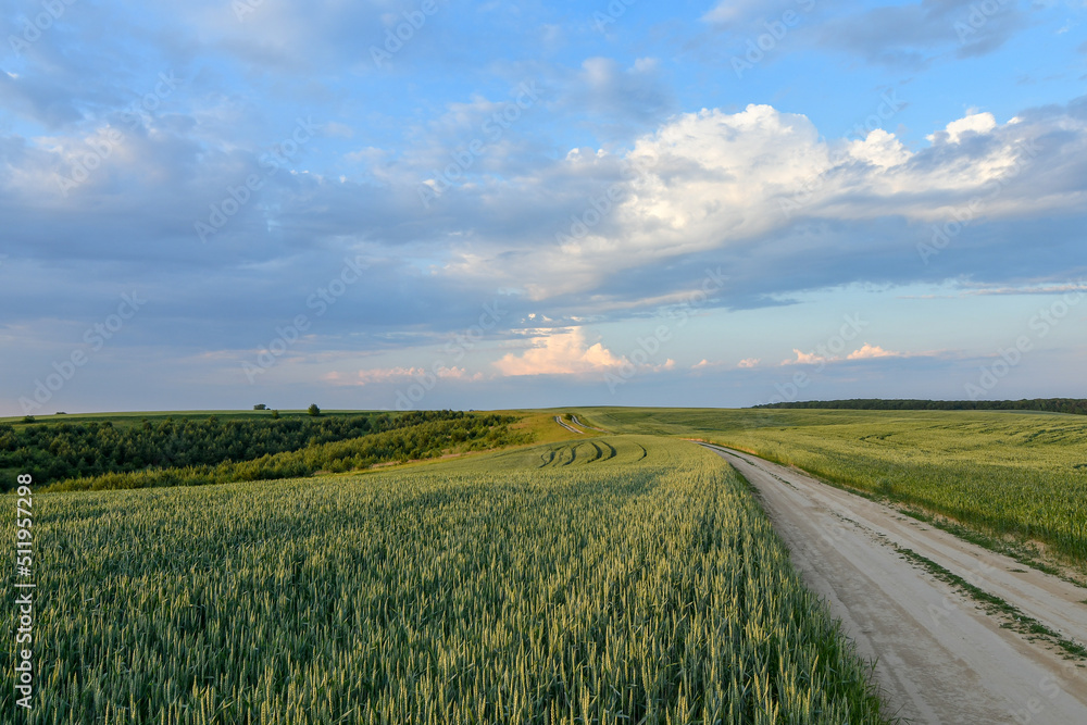 Rural spring scenery with dirt road among vibrant green fields in perspective and blue sky at sunset.