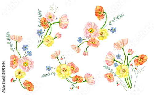 Hand painted watercolor floral bouquet. Iceland Poppies, eucalyptus and blue flowers illustration isolated on white background.