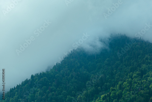 gray clouds over green mountains