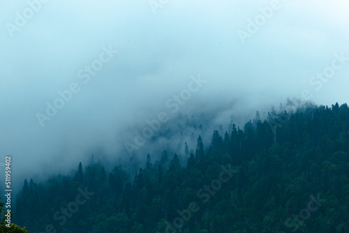 gray clouds over green mountains