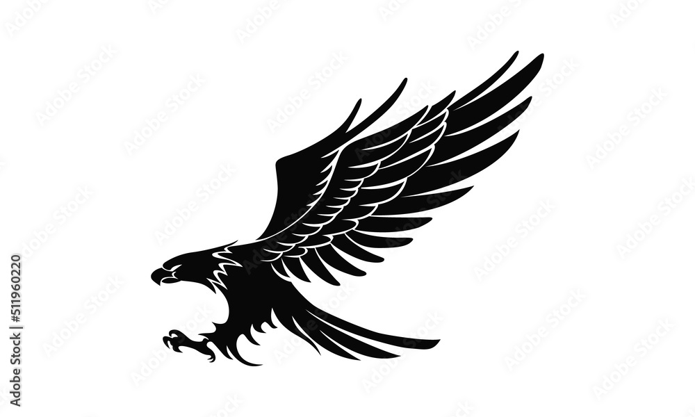 Obraz premium eagle with wings