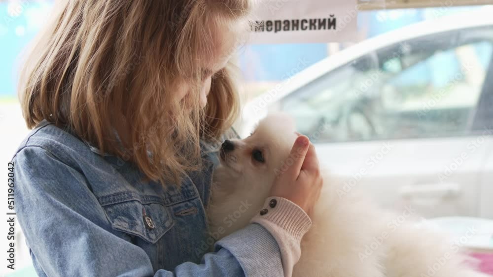 a small and happy girl with a white and fluffy Spitz puppy. a small and happy girl with a white and fluffy Spitz puppy.