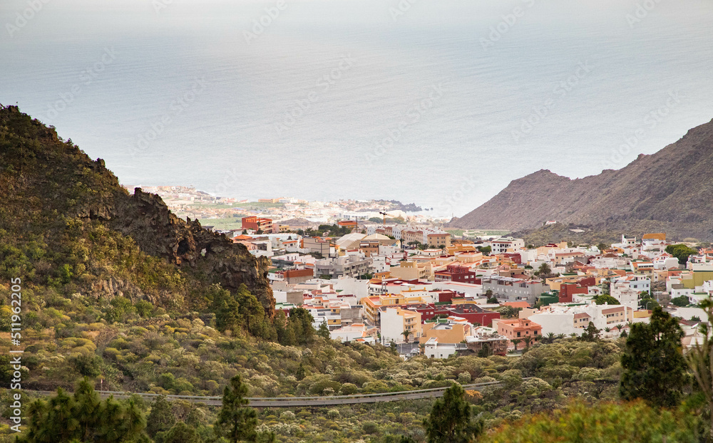 rugged landscape and vegetation in Tenerife