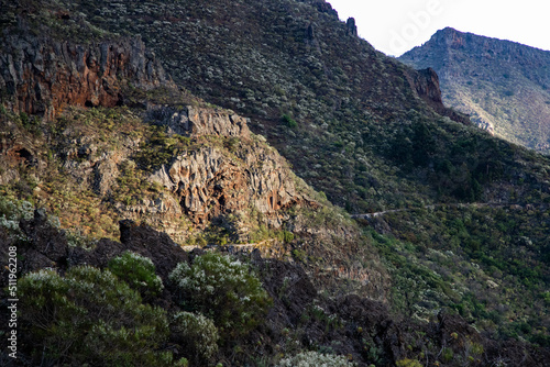 rugged landscape and vegetation in Tenerife