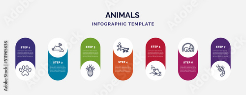 infographic template with icons and 7 options or steps. infographic for animals concept. included paw, mouse toy, louse, walking dog, fishes in the ocean, hibernation, grub icons.