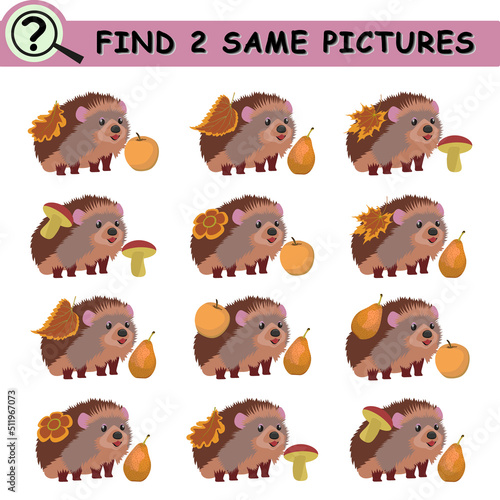 Find same pictures with cartoon hedgehog. Educational logical game for children. Vector illustration.