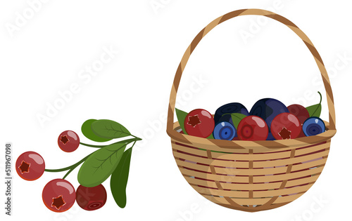 Blueberries and red bilberries in wicker baskets. Vector illustration.