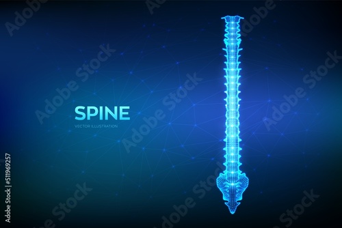 Spine. Back pain spine treatment, Physiotherapy, Diagnostics concept. Abstract Low polygonal wireframe organ for medical drugs, pharmacy and education design. Vector illustration.