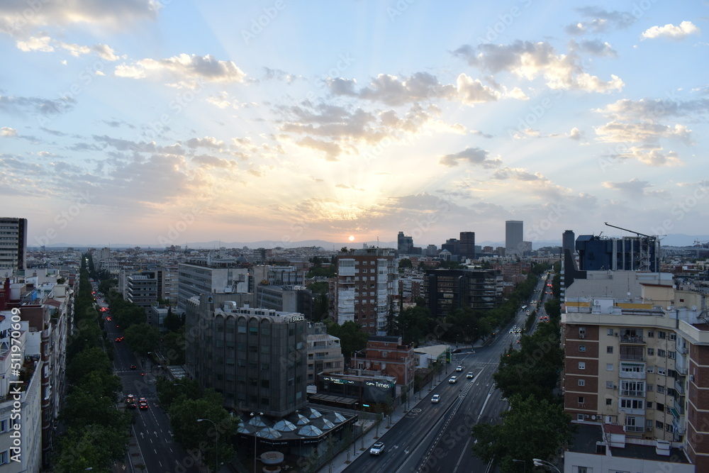 Fototapeta premium nose 