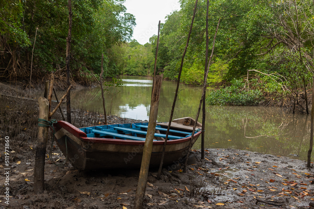 Canoa em mangue na cidade de Guimarães, Maranhão - Brasil