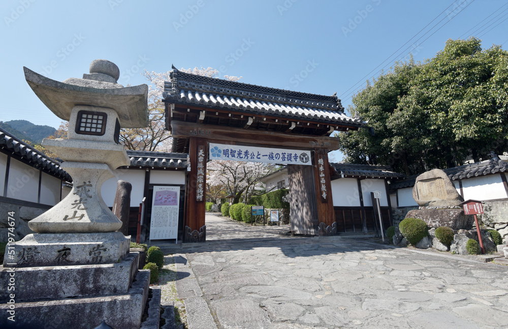 春の西教寺 山門 滋賀県大津市坂本 春の西教寺 山門 滋賀県大津市坂本