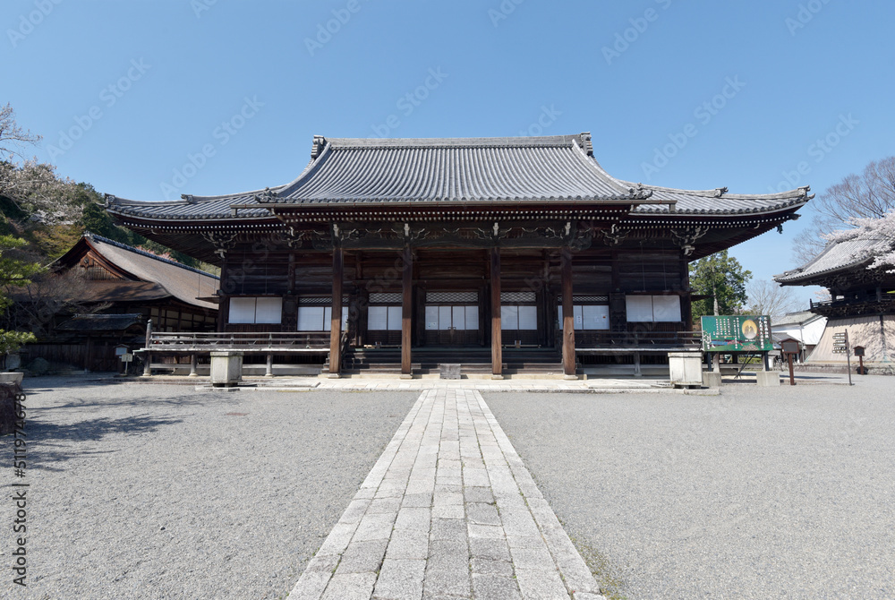 春の西教寺　本堂　滋賀県大津市坂本