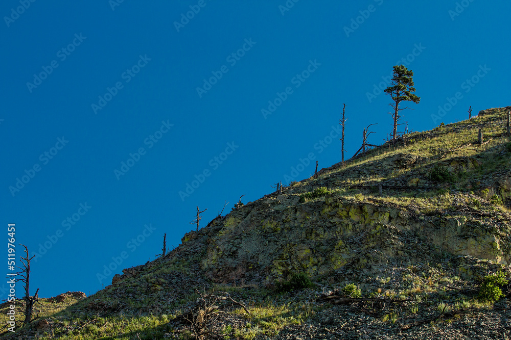 Fototapeta premium Bear Butte State Park in Summer, South Dakota