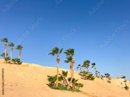 beautiful view of sunny egypt in hurghada sahl hashish
