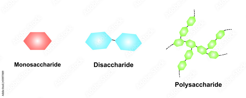 Scientific Designing of Differences Between Monosaccharide ...