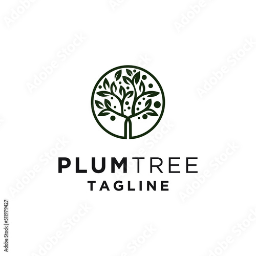 plum tree logo, icon and vector © 151
