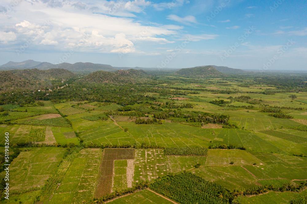 Aerial view of agricultural fields with green plantings in the countryside. Sri Lanka. Aerial view of agricultural fields with green plantings in the countryside. Sri Lanka.
