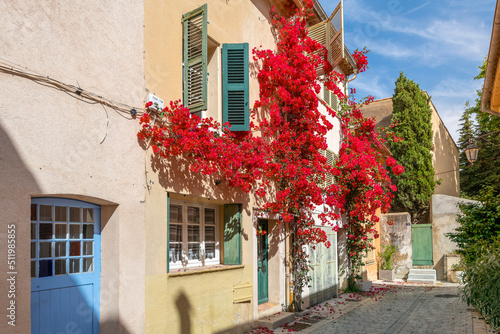 Fototapeta Naklejka Na Ścianę i Meble -  Colorful red blossom bougainvillea flowers line the narrow streets of the Old Town area of the Mediterranean city of Saint-Tropez on the Cote d'Azur.