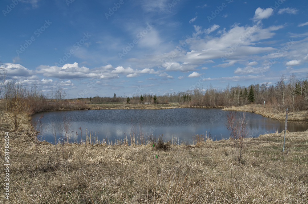 Fototapeta premium Pylypow Wetlands on a Partially Cloudy Spring Day