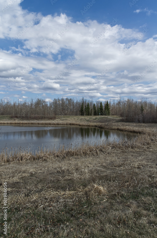 Pylypow Wetlands on a Partially Cloudy Spring Day Pylypow Wetlands on a Partially Cloudy Spring Day
