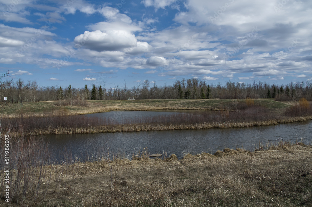 Pylypow Wetlands on a Partially Cloudy Spring Day Pylypow Wetlands on a Partially Cloudy Spring Day