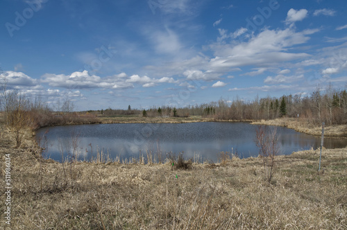 Pylypow Wetlands on a Partially Cloudy Spring Day