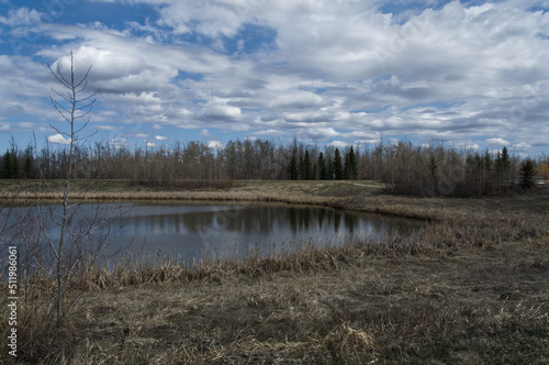 Pylypow Wetlands on a Partially Cloudy Spring Day