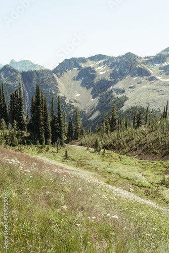 North Cascade Mountains during Summer
