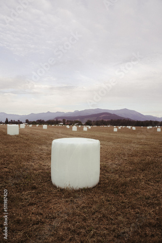 White Hay Bales