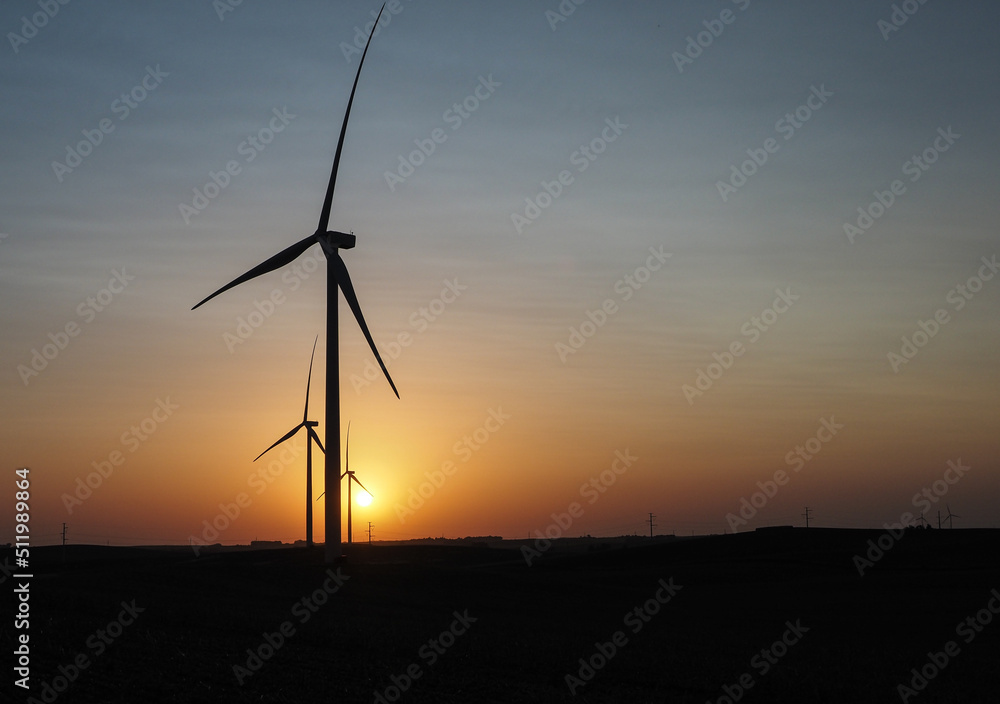 Obraz premium Rural wind turbines in US countryside