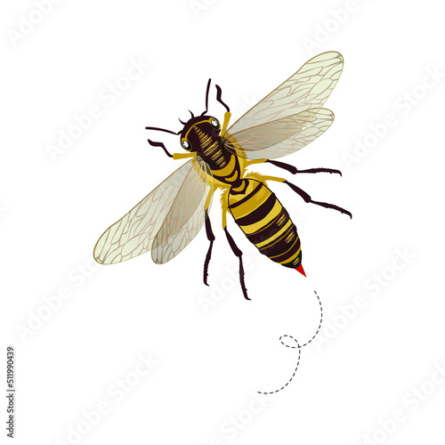 a picture of a wasp in flight