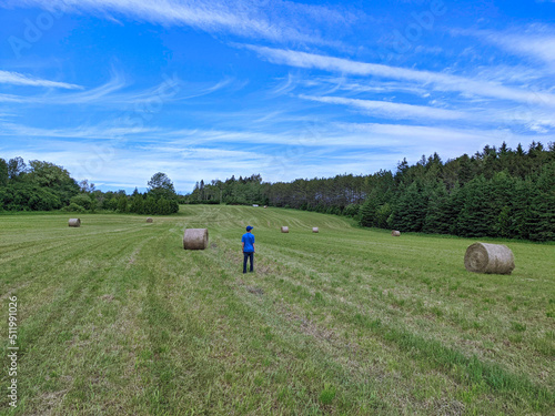 Farmer surveying freshly mown field with bales of hay