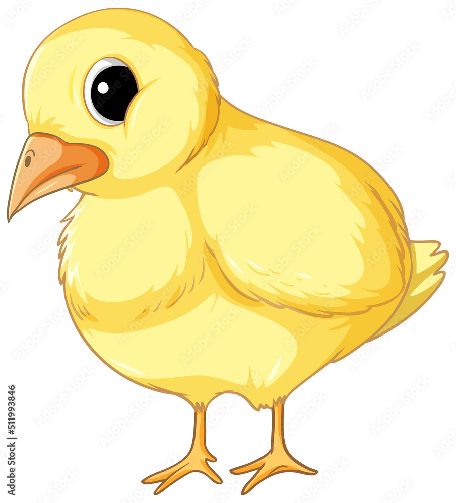 A chick in cartoon style A chick in cartoon style