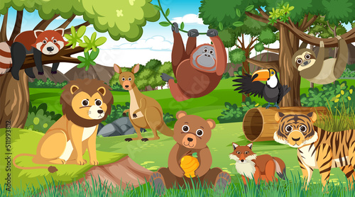 Cute wild animals in the forest