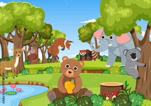 Photography Cute wild animals in the forest