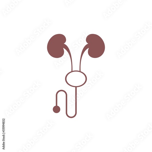 Kidney icon logo design template