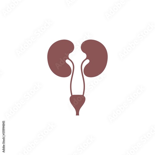 Kidney icon logo design template