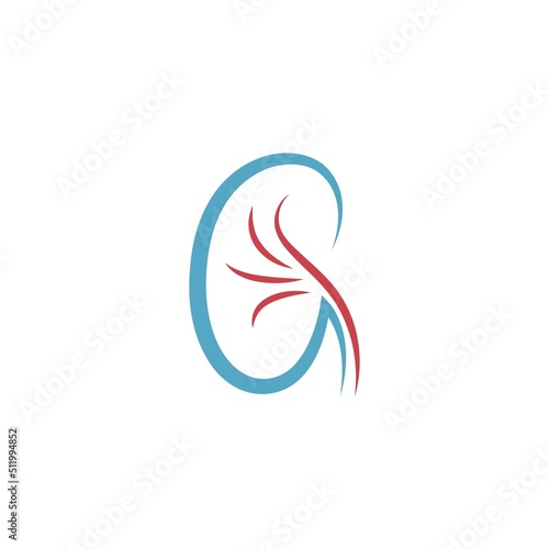 Kidney icon logo design template