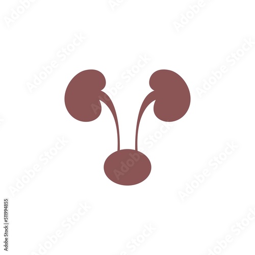 Kidney icon logo design template