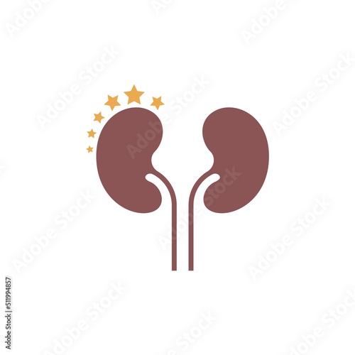 Kidney icon logo design template