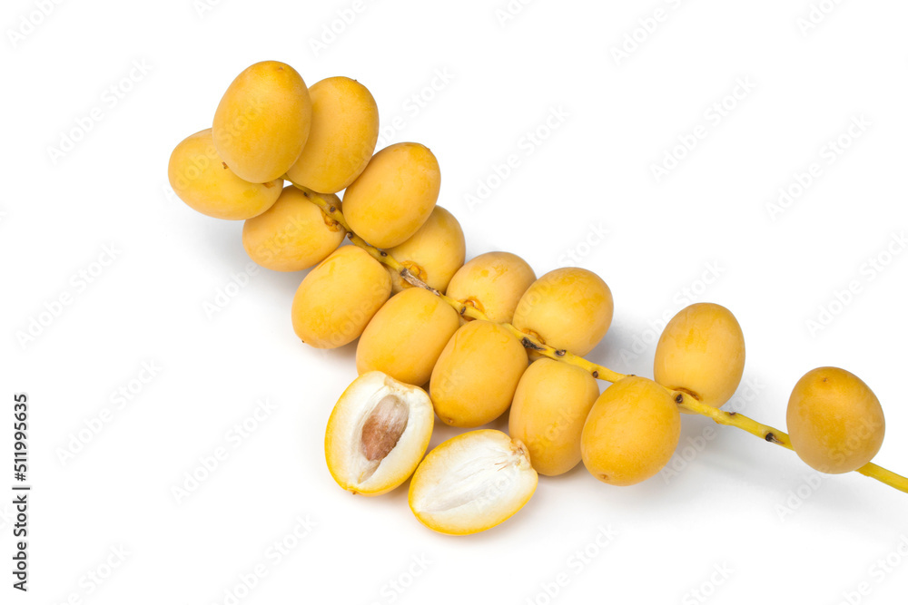 Phoenix dactylifera isolated on white background. Phoenix dactylifera isolated on white background.